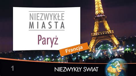 Alicja: Niepozorna armadilla z nogi stus, która pod bibułą kryje niezwykły świat!