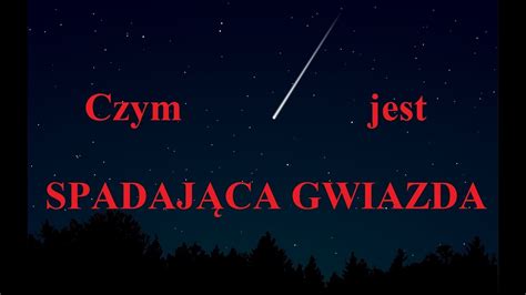  Uchwytna Gwiazda: Zwierzęta o Błyszczących Ramionach z Wyjątkowo Złożoną Budową